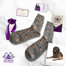 LEONBERGER DOG PRINT SOCKS