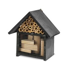 WOODEN LARGE DELUXE INSECT