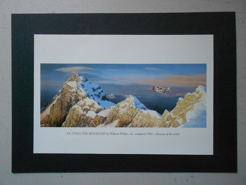 Aviation print dusting - print-,