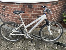 Ridgeback Harmony Mountain