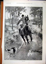 Old Antique Print 1896 Hare