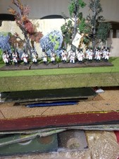 28mm napoleonic well painted &