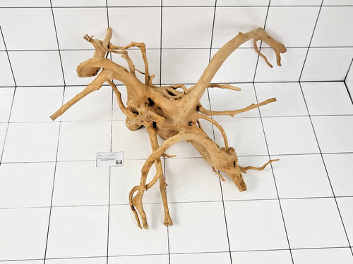 Premium aquarium natural wood - aquarium,