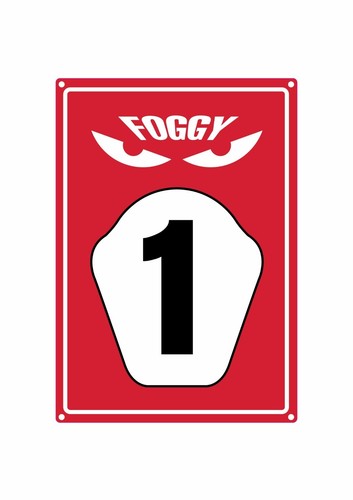 Bike carl fogarty foggy - bike-it,