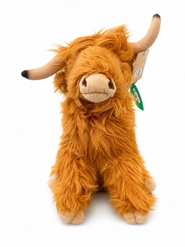 Living nature highland cow - living,