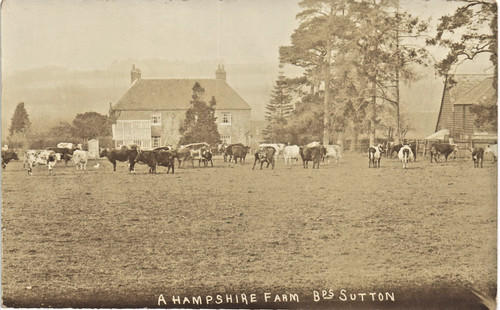 Bishops sutton near alresford - sutton,