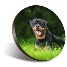 1 x Round 12cm Coaster -