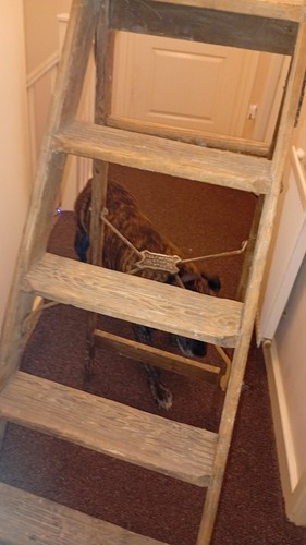 Antique step wooden ladder - wooden,