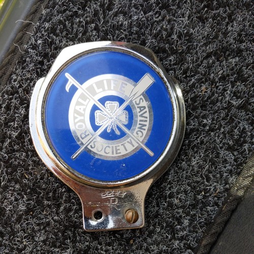 Royal life saving - life, society