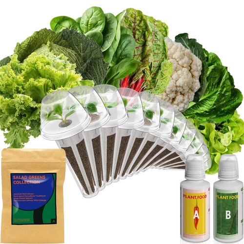 Salad green seed pod kit - "salad, for