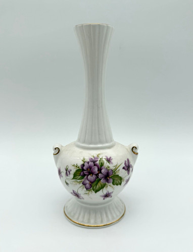Queen rosina violets - violets, fine