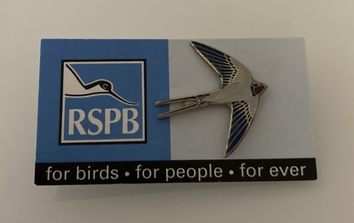 Rspb 2000 2001 early swallow - early,