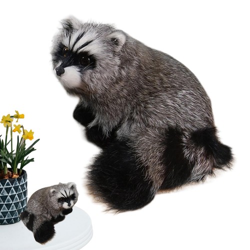 Realistic simulation raccoon - simulation,