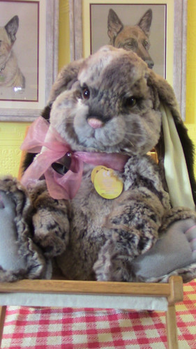 Retired charlie bear hutch - retired,