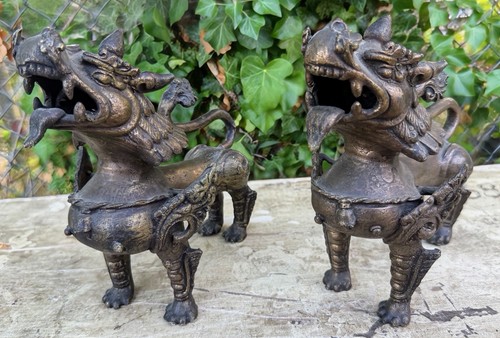 Brass bronze chinese foo dog - brass,