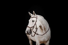 HORSEWARE MICKLEM 2 DELUXE