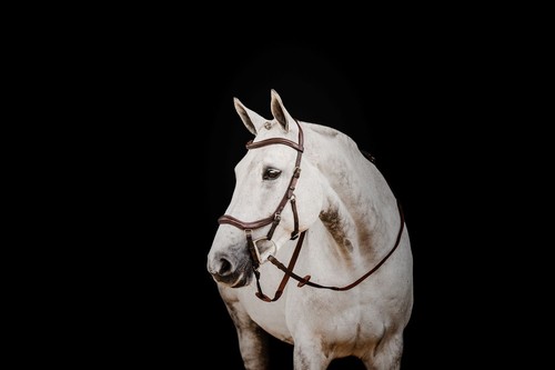 Horseware micklem deluxe - 2,