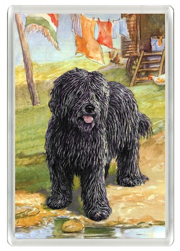 Hungarian puli dog fridge - puli,