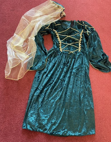 Fancy dress tudor - dress, princess