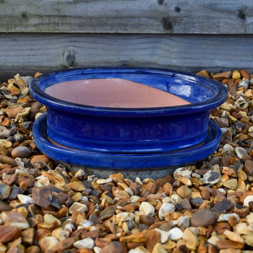 Bonsai pot and - pot,