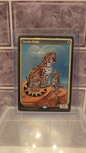 Ocelot pride foil - ocelot,