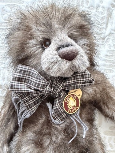 Charlie bear named cooper - charlie,