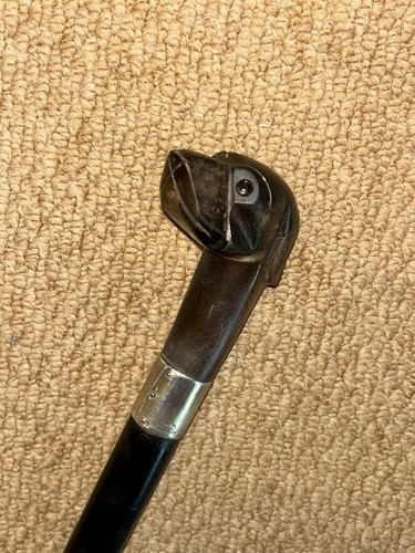 Antique walking stick bovine - stick,