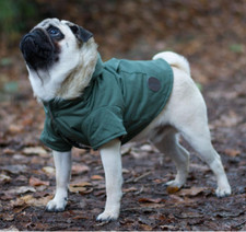 Sötnos Fur Trim Parka Dog
