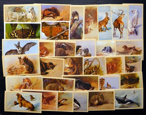 Cigarette cards grandee - cigarette,