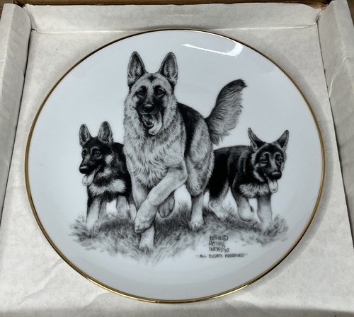 German shepard collector - german,