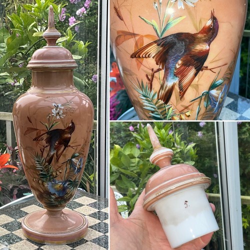 Rare c1880 moser - 🧡, 16”