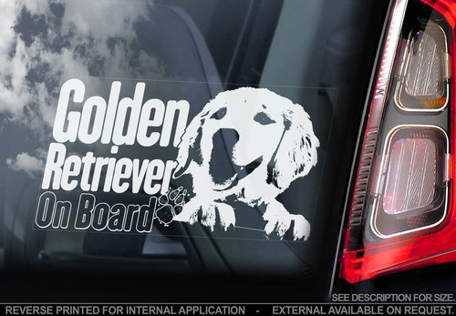 Golden retriever car - golden,