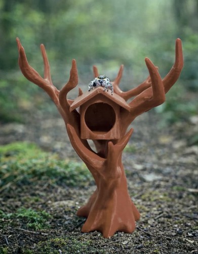 Jumping spider tree house - jumping,