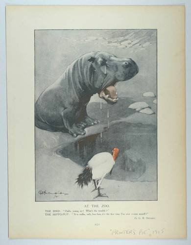 Studdy the zoo rene - e,