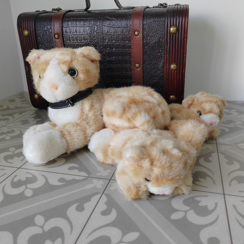Toys cat kittens - us, &