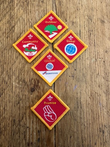 Cub scout challenge - cub, badges