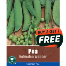 Vegetable Seeds Pea Kelvedon