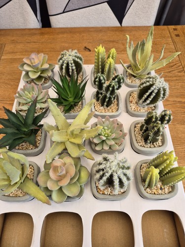 Set artificial cacti - of, 4