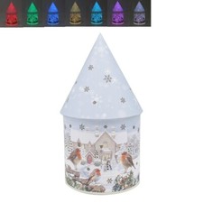 Christmas Robins LED House