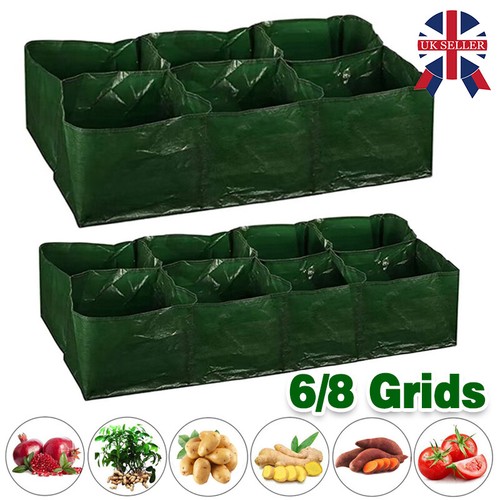 Large plant grow - large,