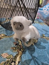 Mary Meyer Luxey Lamb Rattle