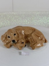 Royal Doulton Cocker Spaniel &