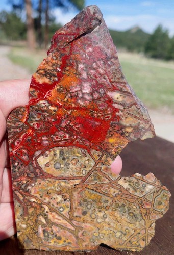 Leopard skin orbicular jasper - skin,