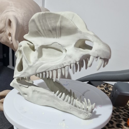 Dinosaur skull figurine - skull, x