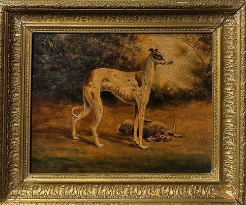 English school greyhound with - school,
