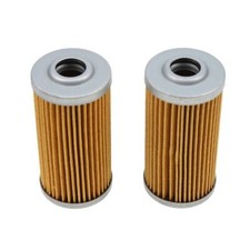 2Pcs Fuel Filter CH15553 for