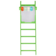 Plastic Bird Ladder Climbing