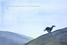 Greyhound Whippet Lurcher art
