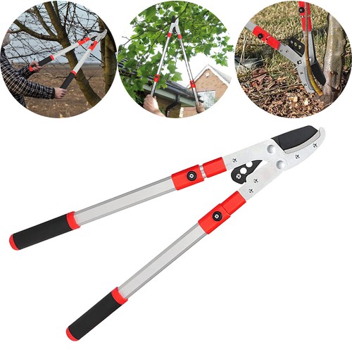 Telescopic garden tree loppers - telescopic,