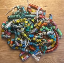 Racing pigeon rings ring - pigeon,